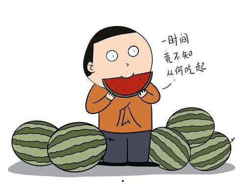 那你怎么吃瓜,网络热词背后的文化现象