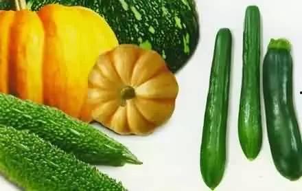 吃瓜厨房是什么,网络热词背后的趣味与思考