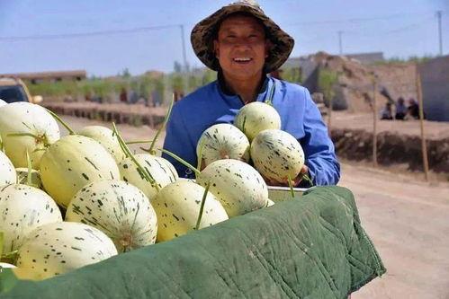 吃瓜当公审,一场网络舆论的狂欢与反思