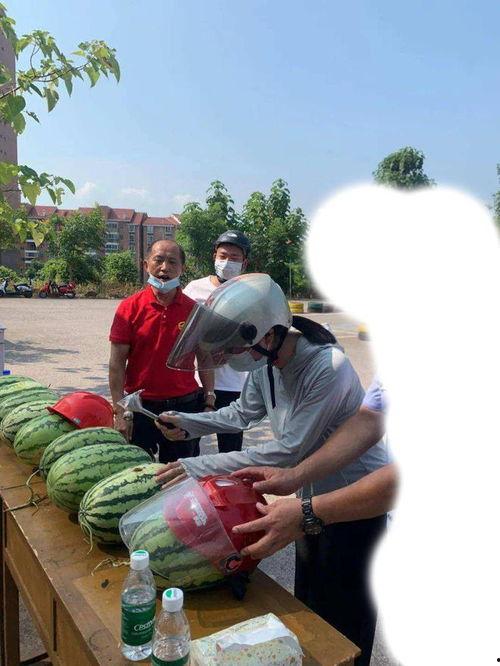 萧县吃瓜事件,一场网络舆论的风波与反思