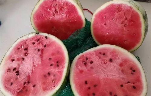 日韩人吃麒麟瓜视频