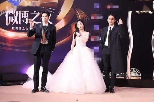 明星腿微博免费浏览