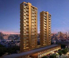 南通藏珑明星,探寻江南水乡的璀璨明珠