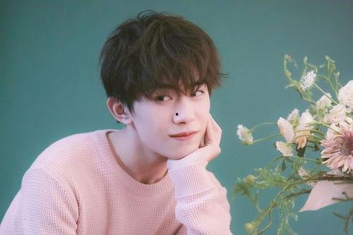 明星大爆料池昌旭视频,明星大爆料背后的真相揭秘