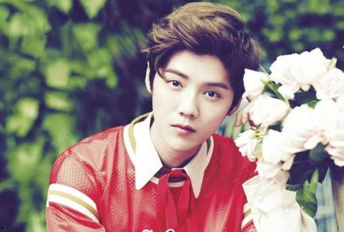 娱乐圈爆料客关晓彤鹿晗,娱乐圈爆料的背后真相”