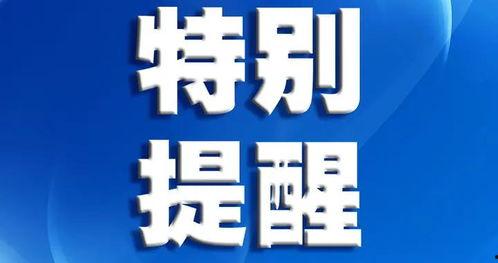 深圳爆料最新消息新闻,聚焦城市热点事件追踪
