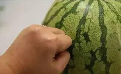 分圈吃瓜,揭秘网络社交圈层中的趣味与争议