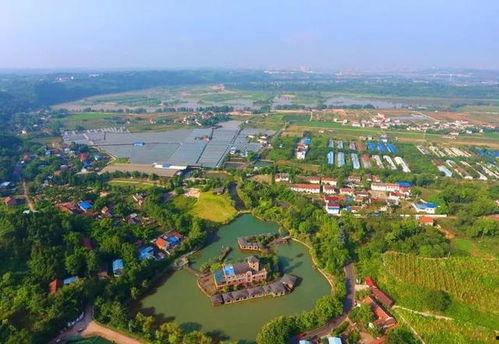 雁江区莲花镇新闻头条,乡村振兴战略下的新篇章