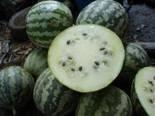 佛手香烟瓜怎么吃,养生美食新体验