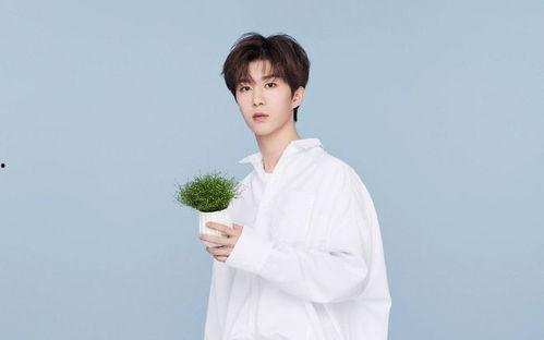 内娱爆料范丞丞视频,内娱爆料背后的真相揭秘