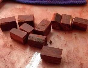 木头上有钻木看芯料的孔,探索木头内部世界的奥秘